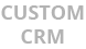 Custom CRM